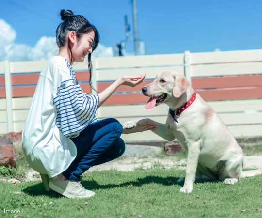 image：愛犬と遊ぶ飼い主